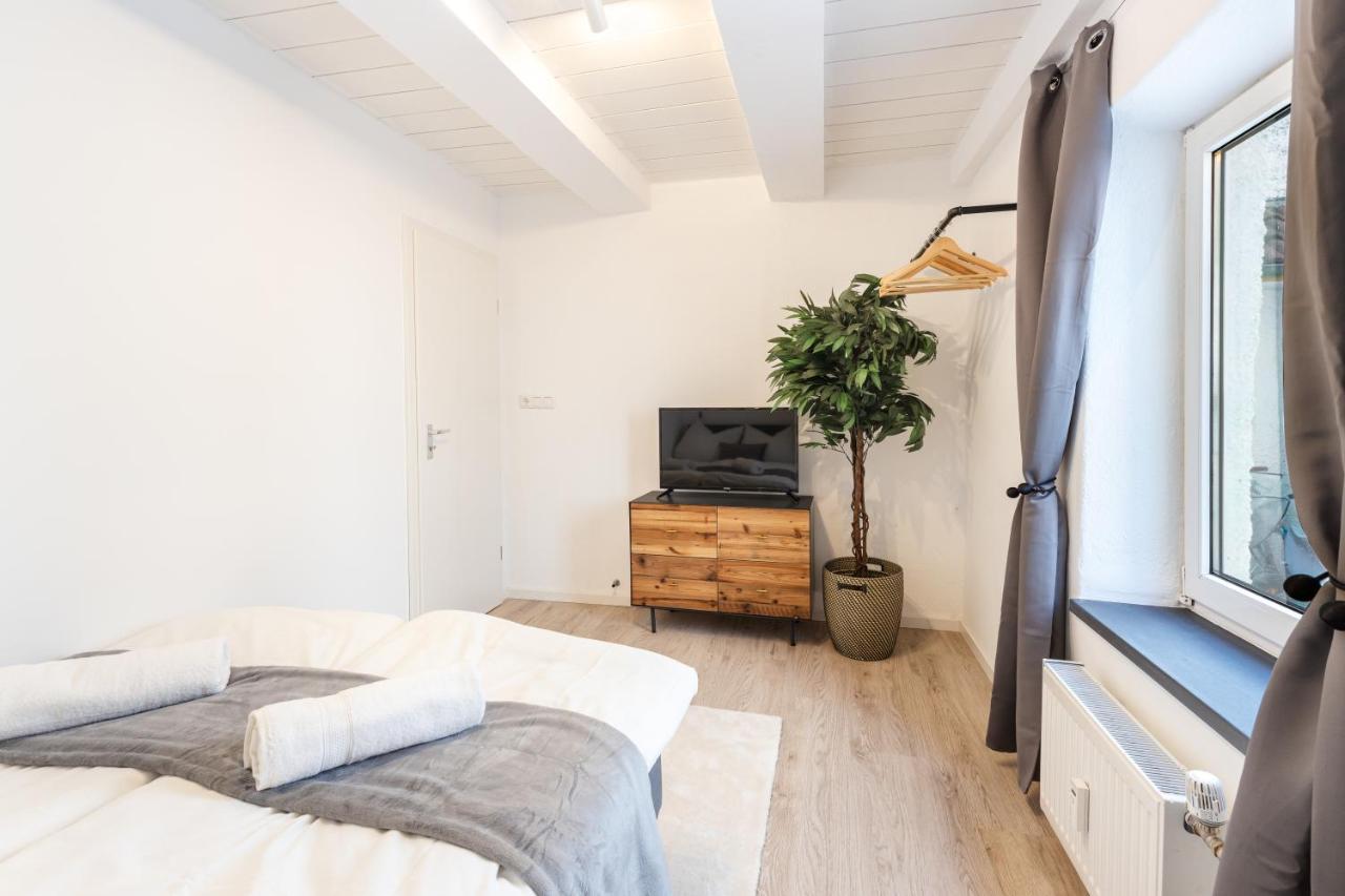 Terrace Apartment With 5 Rooms, Whirlpool And Bbq Augsburg Buitenkant foto